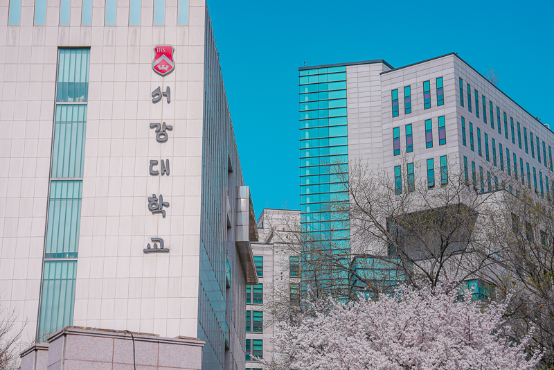 봄-전경